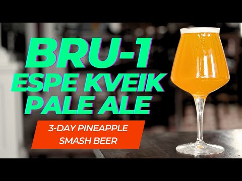 Brewing a 3-DAY PINEAPPLE PALE ALE with BRU-1 HOPS and ESPE KVEIK!!