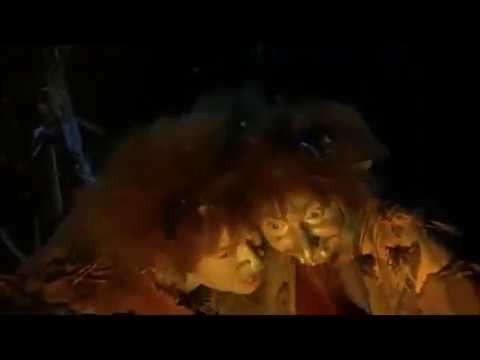 The Money Song La canzone dei soldi Rahalaul