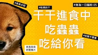 [問卦] 會幫動物配台詞的都是什麼人？