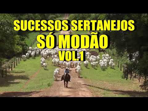 Sucessos Sertanejos  (só modão)