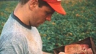 Alkali, Iowa (1996) legendado