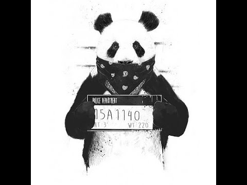 Desiigner - Panda (Napisy PL) (Funny)