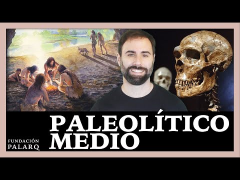 ⚫ Paleolítico Medio | Paleoantropología y Edades de la Prehistoria