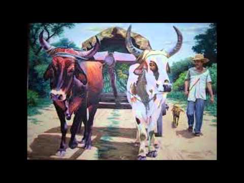 Menacho video