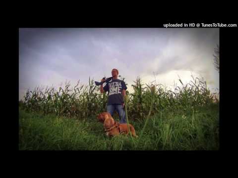 Lisseek - Antyhejter