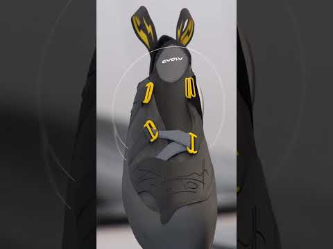 ALL NEW Evolv Shaman Pro feat. EVOWRAP