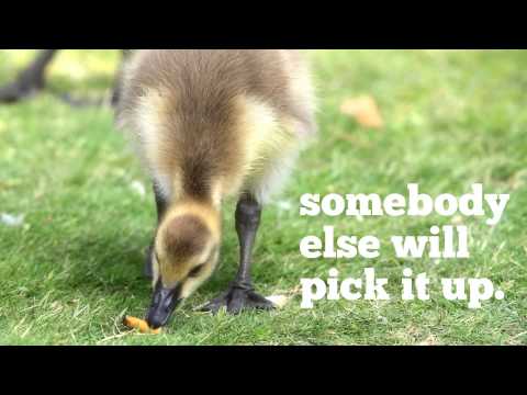 It won't do any harm