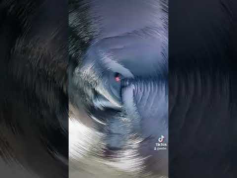 2023 GRANVIA PREMIUM