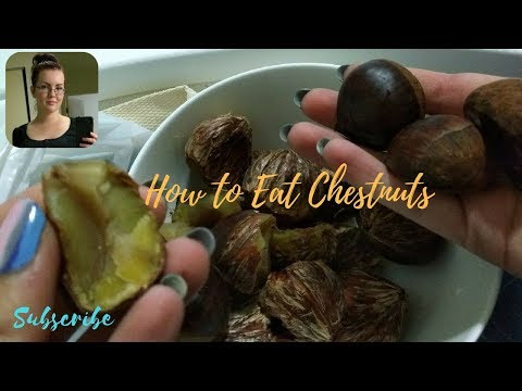 download lagu mp3 mp4 Boiling Chestnuts, download lagu Boiling Chestnuts gratis, unduh video klip Boiling Chestnuts