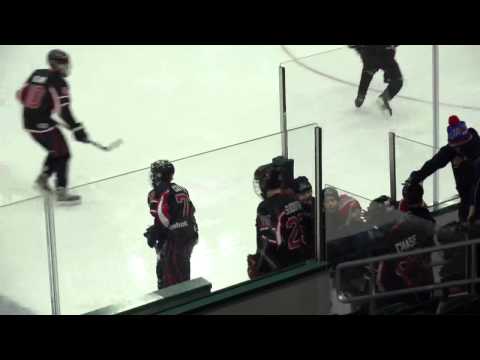 CHA Top Plays 1-4-15