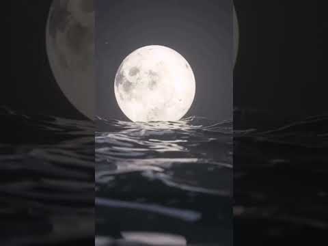 Moon and sea mobile live wallpaper 4k UHD | background video