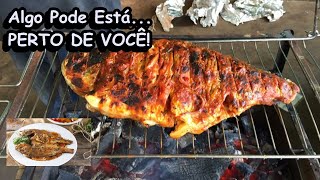 Sonhar Com Peixe Assado na frigideira ou assado Na Brasa, significado real