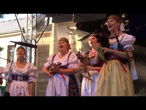 Folklorní soubor PÍSEČAN z Písku --MFF Písek 2017 č.9