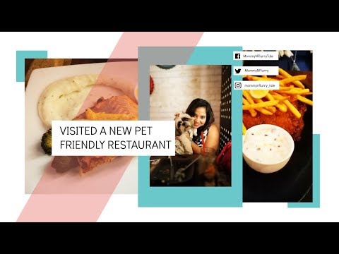 Indian Petmom Amazing Weekend Vlog | Visiting A New Pet Friendly Restaurant - Yay or Nay 👫💑🇮🇳 Video