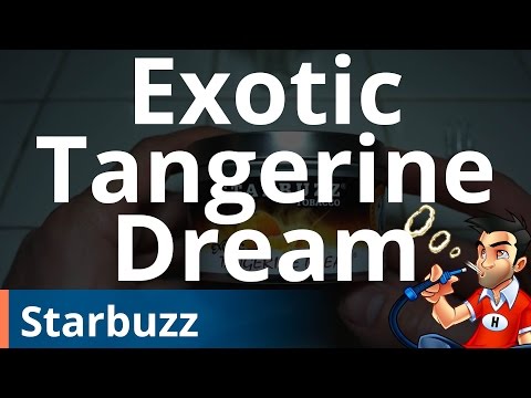 Starbuzz Exotic Tangerine Dream Shisha Review