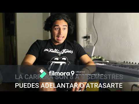 ¿Que es ser politólogo? mercado laboral del egresado :D