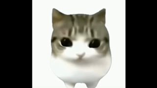 Download lagu Dam dam di di di di loop - Terranova Janina (Cat Meme) mp3 Download lagu Dam dam di di di di loop - Terranova Janina (Cat Meme) mp3