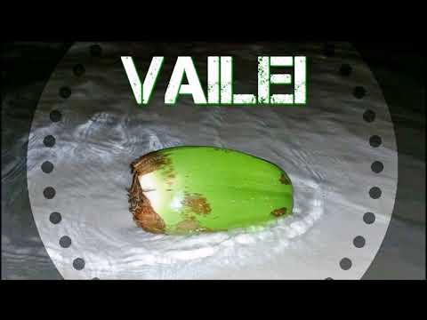 Dj Vanox Ft Joe Dwèt Filé - Plus Enssemble (Remix Zouk 2017)