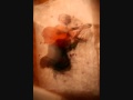 Fade Away - Allison Crowe