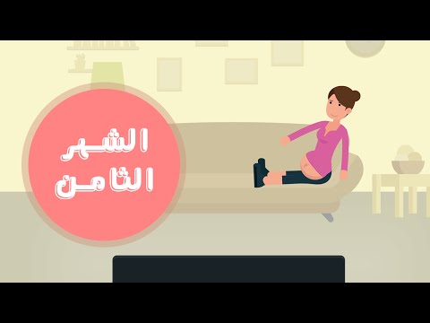 دليلك لتطور مراحل الحمل : الشهر الثامن | Month eight of your pregnancy هنا hana
