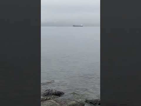 #relax #chill # meditation Monday motivation #healthyfood #beach #vancouver #canada #britishcolumbia