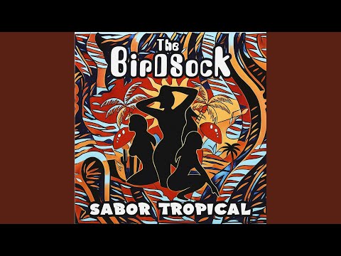 Notas Do Passado - The BirDSock