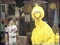 Classic Sesame Street Big Bird Ron Darling