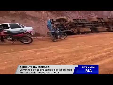 CAMINHÃO BOIADEIRO TOMBA E DEIXA FERIDOS NA MA-008 ENTRE PAULO RAMOS E MARAJÁ DO SENA
