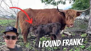 New Calf On The Farm! (Behind The Scenes @DossFarm  Episode 7)