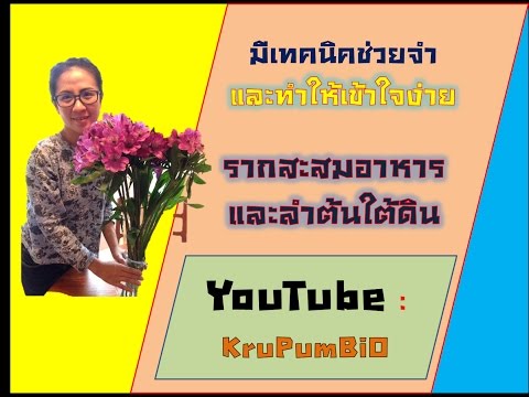 หญ้าบางอย่างในการฟื้นตัวของความแข็งแรง สมาชิกจะกลายเป็นน้อยสิ่งที่ต้องทำ