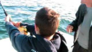 Anthony Piccininni Shark Fishing video