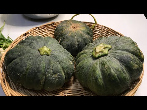 Stir fry pumpkin with frogs recipe | Dary Cooking