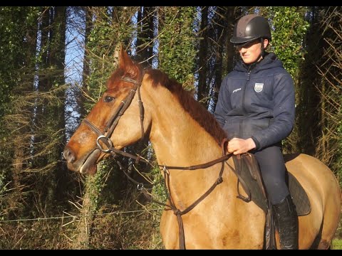 🌟 Super All-Rounder Type 🌟 - Image 2