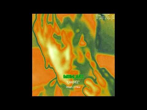 [FREE] NEPAL X ALPHA WANN X DEEN BURBIGO TYPE BEAT - "CANOPÉE"