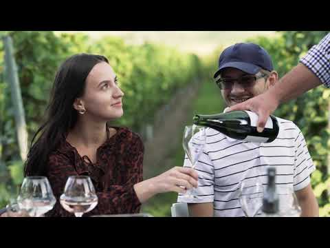 Interjúrészlettel gazdagított arculati film - OBT referenciafilm