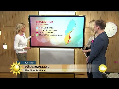 Väderspecial – helgvädret och brandrisk - Nyhetsmorgon (TV4)