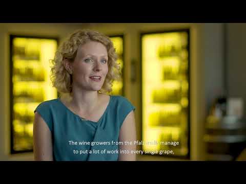 Driving through the sea of vines along the German Wine Road - The Pfalz