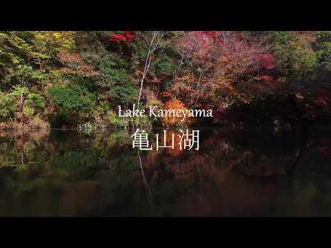 亀山湖の紅葉 ドローン空撮／千葉県君津市｜Kameyama Autumn leaves Drawn,JAPAN KIMITSU CITY