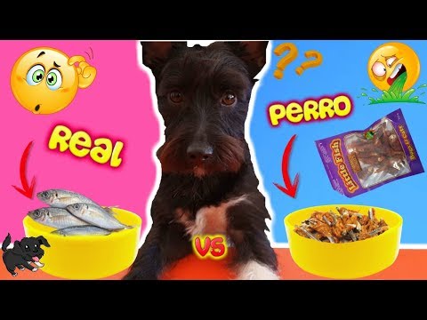 DOG FOOD VS HUMAN FOOD / Lana Challenge