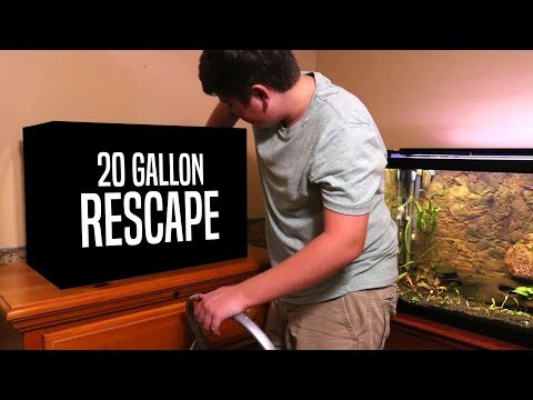 Aquascaping My 20 Gallon Tank!!!!