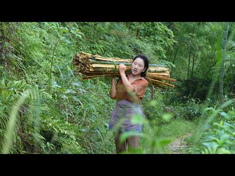 Xishan Bamboo Paper | The Xishan bamboo paper has been passed down for thousands of years. [Shendan]