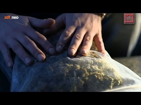ZDFKultur - RAUSCHGIFT - Cannabis
