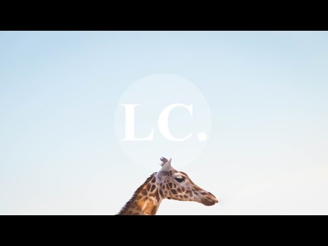 DJ Chus - World Routes (Sparrow & Barbossa Remix)