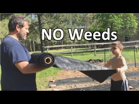 YouTube video about Whether you are preventing weeds or beautifying a garden bed, follow this guide to pick the right mulch for your garden.