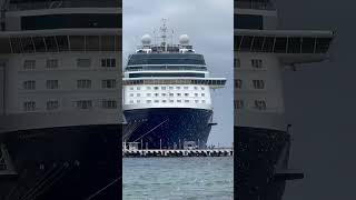 The 2 Giants Cruise Ship 🚢 😍  #cruise #travelvlog