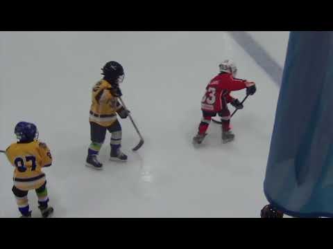 HC Vipers G Red – HK Tornaado G2 2:0 (0:0; 2:0) 3.12.2017