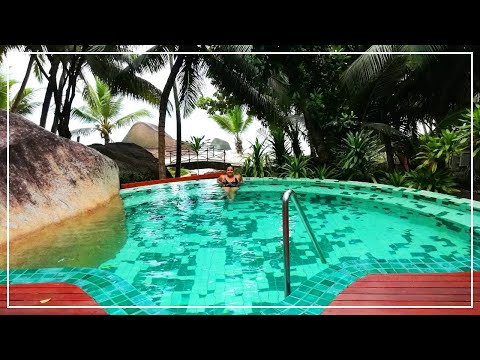 NEW INTRO VIDEO  || CHANDNI