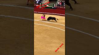 Download lagu Bullfighting  #Spain #bullfightathometown #travel  #travelvlog #vlog #valencia #animals #shorts mp3