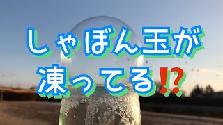 凍るしゃぼん玉を見た事がありますか？