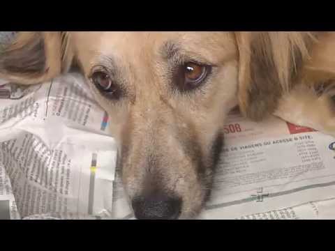 Jornal da Cultura Primeira Edição | 27/07/2015